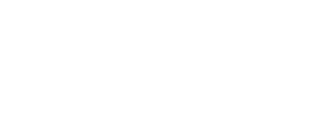 Meta Business Partner